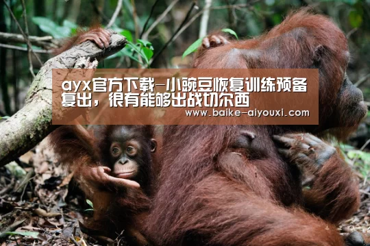 爱游戏下载